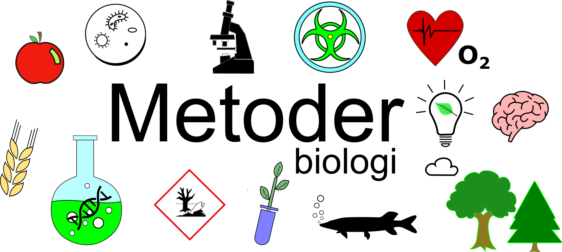 Metoder I Biologi – Biologi